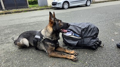 Slika /17398 vijest SMJ Rijeka droga Kikovica/Glavna slika.jpg